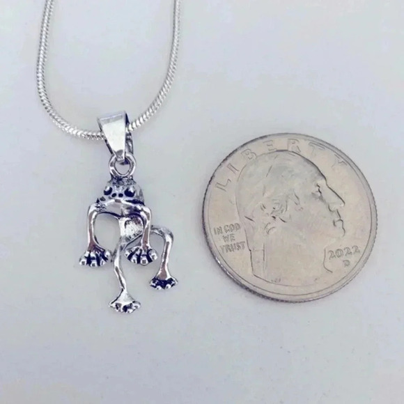 Silver Hanging Frog Necklace - Picture 3 of 3